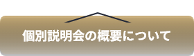 個別説明会の概要について